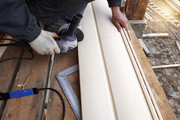 Best Steel Siding Installation  in Starbuck, MN