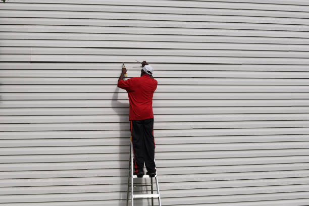 Best Brick Veneer Siding  in Starbuck, MN