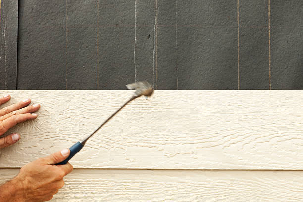 Best Engineered Wood Siding  in Starbuck, MN